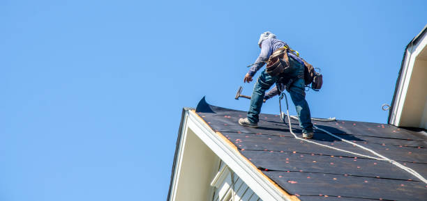 Roof Gutter Cleaning in Victoria, KS